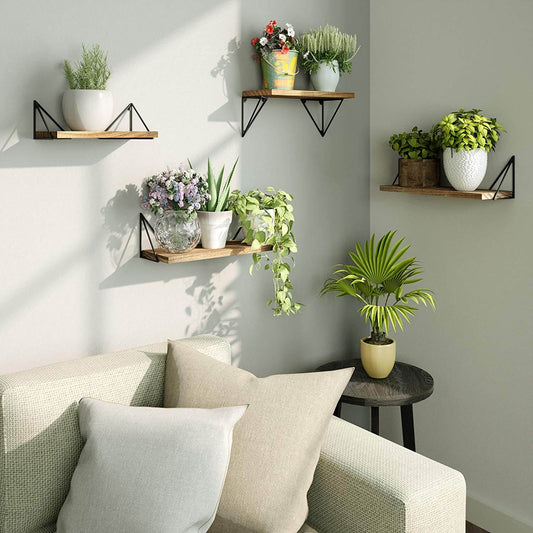Carbonized Black Floating Shelves Wall Mounted(Set of 3)