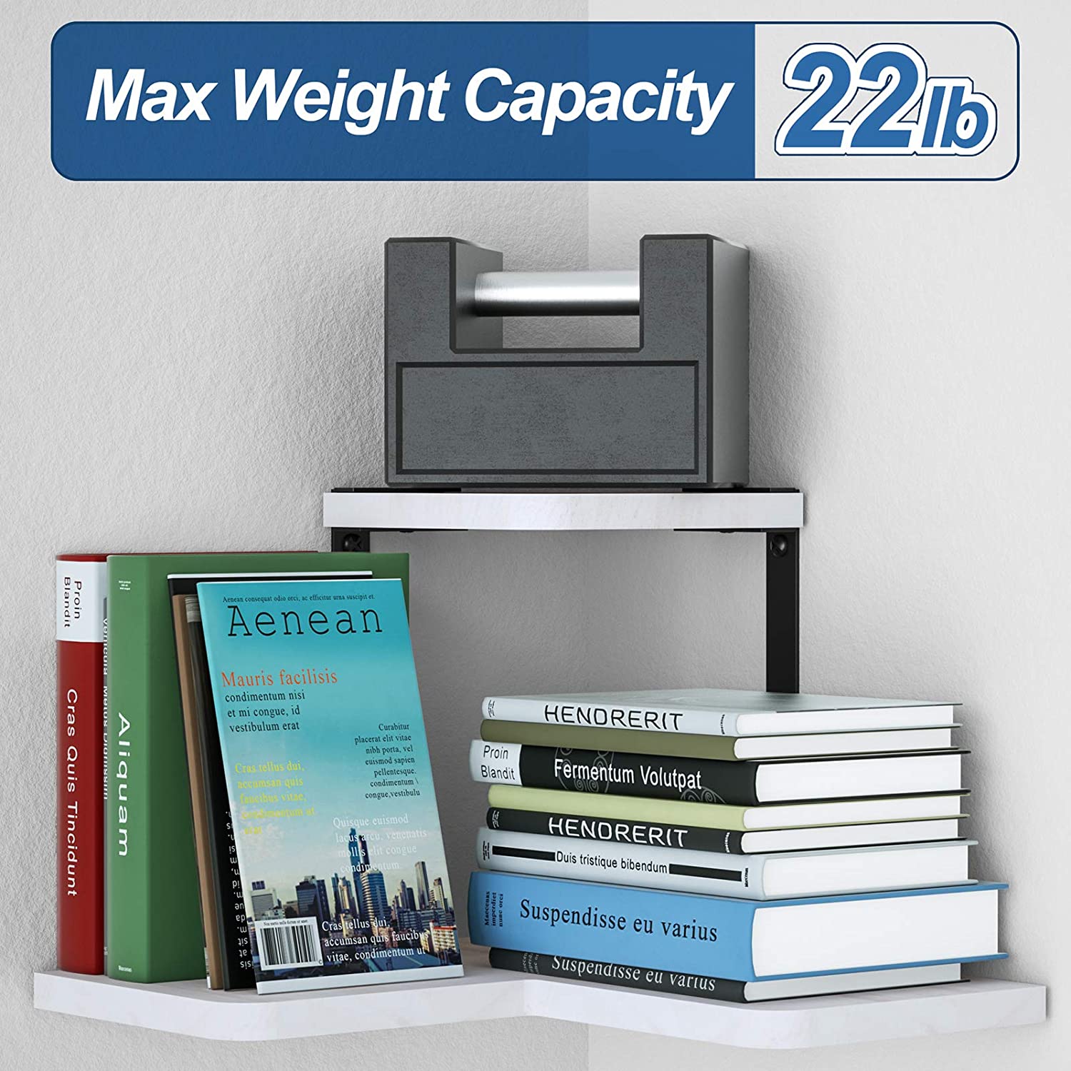  SRIWATANA 2-Tier Rustic Corner Shelf (White)